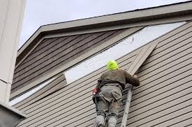 Professional Siding in Rockford, MI